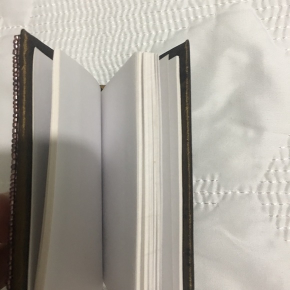 Tortoise Shell Notebook/Diary Beaded w/Silk - Picture 4 of 8